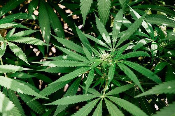 保險(xiǎn)公司理賠需要多少天到賬？一直不通過是為什么？