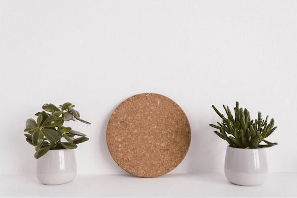 是買重疾險(xiǎn)好還是百萬(wàn)醫(yī)療好？哪個(gè)更便宜？