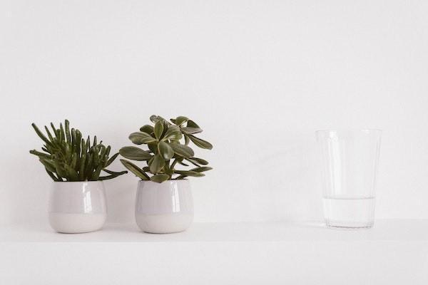 百萬醫(yī)療和重疾險有必要都買嗎？為什么重疾險貴這么多？