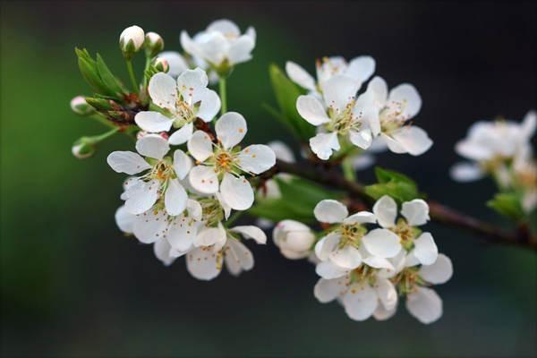 個(gè)人養(yǎng)老金資金賬戶的特點(diǎn)是什么？可以交多少錢一年？