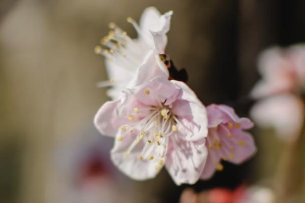 企業(yè)年金提取扣稅比例是多少？要如何領(lǐng)?。?>
                                            </div>
                                        </a>
                                        <h2 class=
