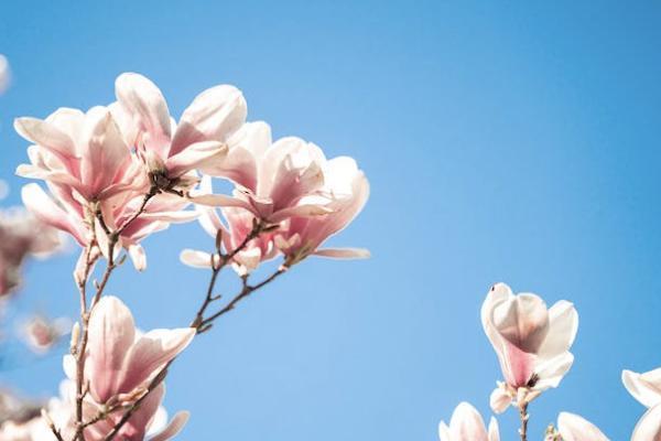 信泰如意頤享養(yǎng)老年金保險(xiǎn)保障有什么？誰(shuí)可以投保？