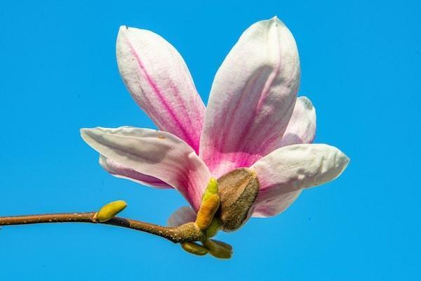 銀行個人養(yǎng)老金賬戶是什么意思呢？個人養(yǎng)老金賬戶能開幾個？