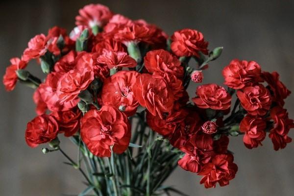 太平金生恒贏年金保險(xiǎn)(分紅型)有哪些優(yōu)點(diǎn)？承保公司怎么樣？