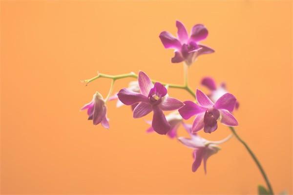 好醫(yī)保長(zhǎng)期醫(yī)療20年版保費(fèi)是多少？等待期是多久？