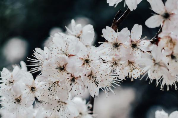 職工醫(yī)保能報(bào)銷(xiāo)多少錢(qián)？要怎么報(bào)銷(xiāo)？