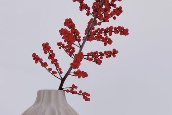 瑞祥人生增額終身壽險(xiǎn)是哪家保險(xiǎn)公司？產(chǎn)品怎么買？