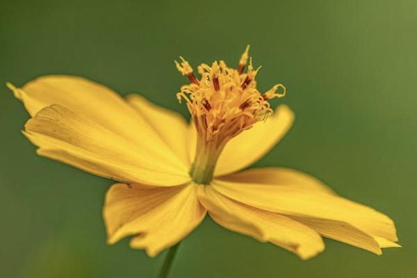 交強(qiáng)險(xiǎn)賠償范圍和金額2023年是怎樣的？怎么申請(qǐng)理賠？