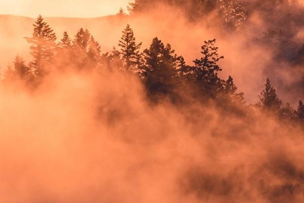 太保安享百萬醫(yī)療險怎么樣？買的人多嗎？