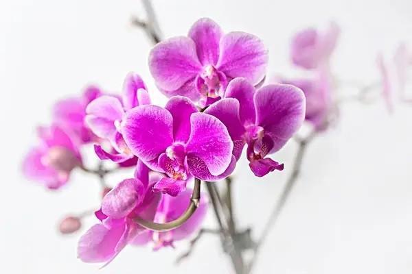 元保百萬醫(yī)療險每月交多少錢？值得購買嗎？
