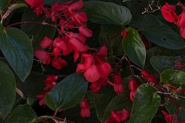 理財(cái)保險(xiǎn)有沒有必要買？理財(cái)保險(xiǎn)安全嗎？