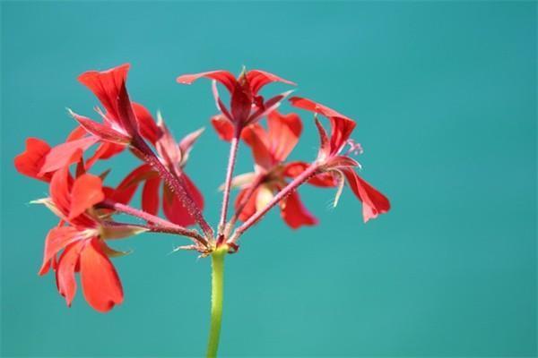 泰康人壽養(yǎng)老年金保險產(chǎn)品都有哪些？值得購買嗎？