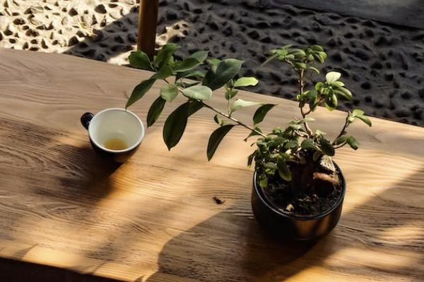 保險(xiǎn)公司拒賠起訴成功率多少？為什么會(huì)拒賠？
