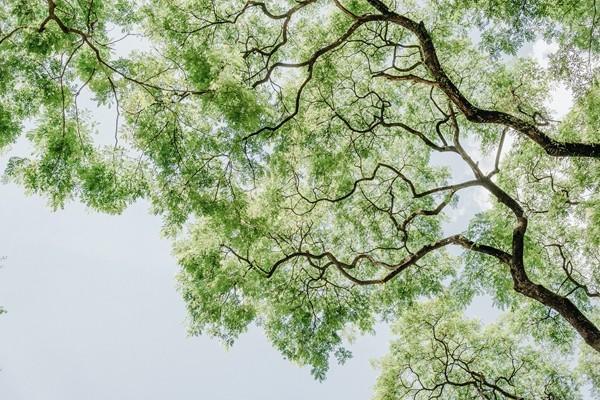 養(yǎng)老保險(xiǎn)中斷是不是白交了？社保中斷怎么補(bǔ)交？