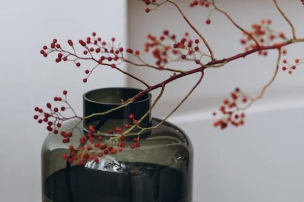 駕乘險(xiǎn)和座位險(xiǎn)買哪個(gè)比較好？可以同時(shí)買嗎？