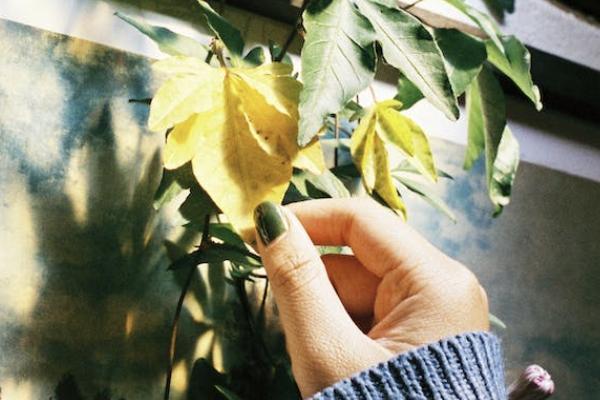 個(gè)人養(yǎng)老金和自己存錢的區(qū)別有哪些？哪個(gè)更劃算？