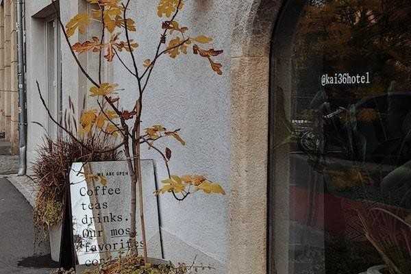 京東金融逾期一個月了要我全部還清嗎？還款日最晚可以到幾點？