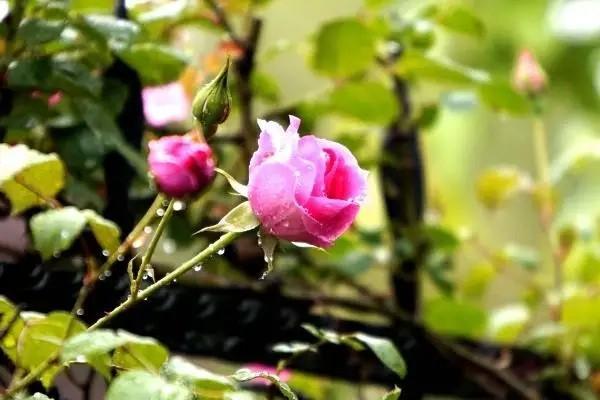 養(yǎng)老金總額怎么查詢？個(gè)人部分可以取出來(lái)嗎？