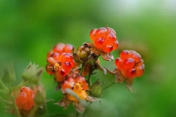 重慶醫(yī)保卡到期了能網(wǎng)上換嗎？換新卡流程是怎樣的？