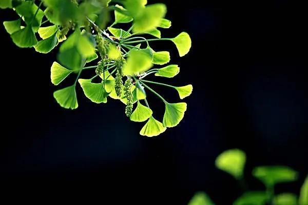什么是基礎(chǔ)養(yǎng)老金和個(gè)人賬戶養(yǎng)老金？怎么計(jì)算？