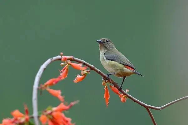 50歲買(mǎi)重疾險(xiǎn)一年要交多少錢(qián)？有必要嗎？