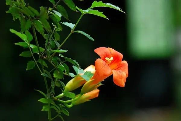 養(yǎng)老金總額個(gè)人部分是什么意思？可以取出來(lái)嗎？