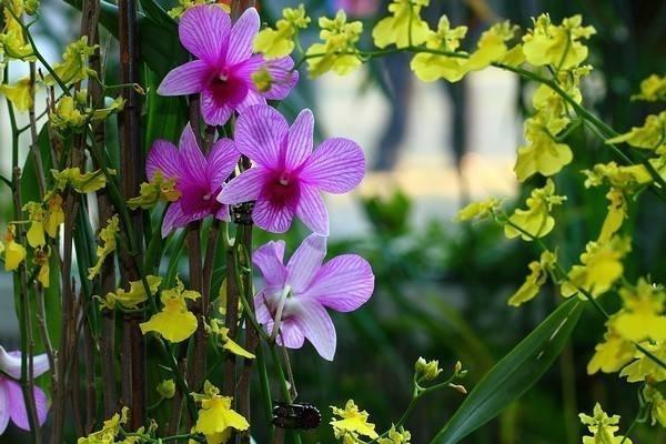 重疾醫(yī)療險(xiǎn)有必要買嗎？怎么買更劃算？