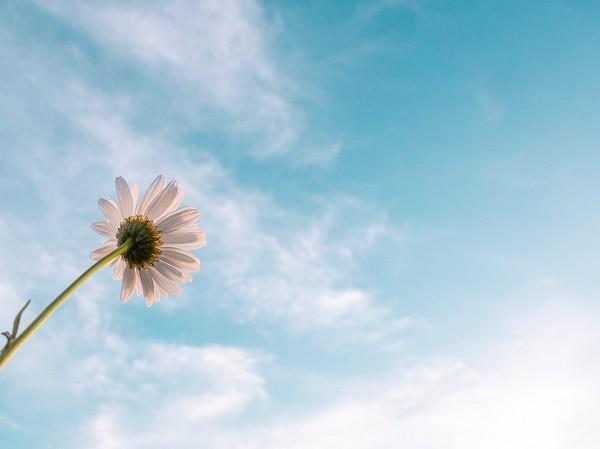 養(yǎng)老保險個人賬戶余額如何查詢？可以用來做什么？
