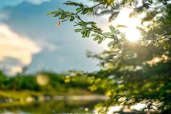 學平險怎么查詢保單號？報銷流程是怎樣的？