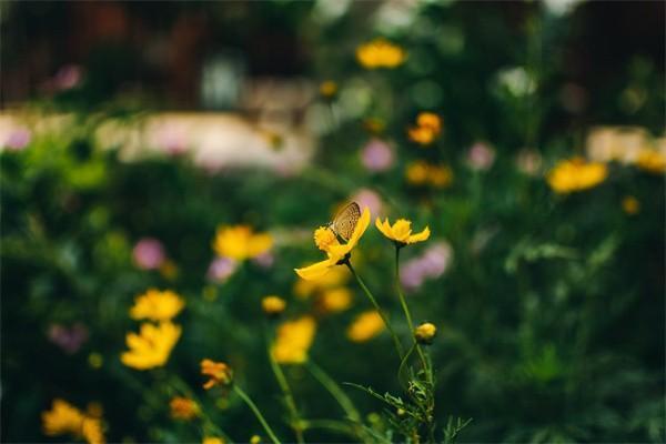 月薪5000五險(xiǎn)扣多少錢一個(gè)月？是從工資里扣嗎？