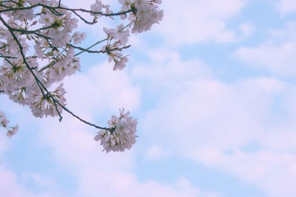 養(yǎng)老保險(xiǎn)計(jì)算公式是怎樣的？退休后可以領(lǐng)多少？