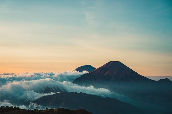 保險公司十大排名哪家靠譜？哪家口碑最好？