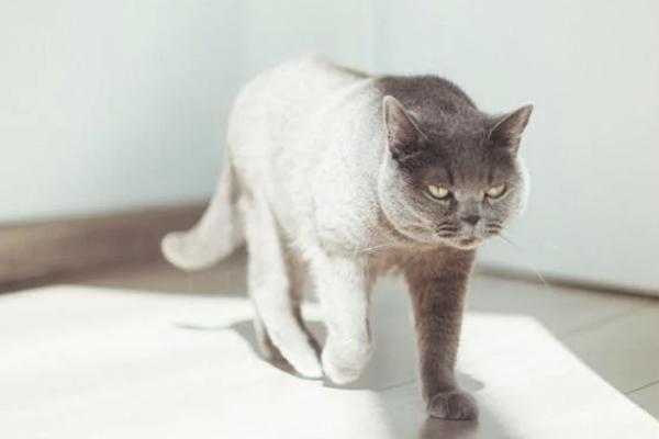 平安福交30年劃算嗎？有什么優(yōu)勢(shì)？