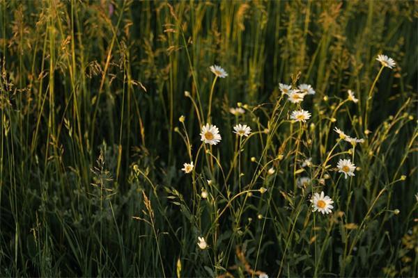 醫(yī)保統(tǒng)籌賬戶余額怎么查詢？里面的錢會用完嗎？