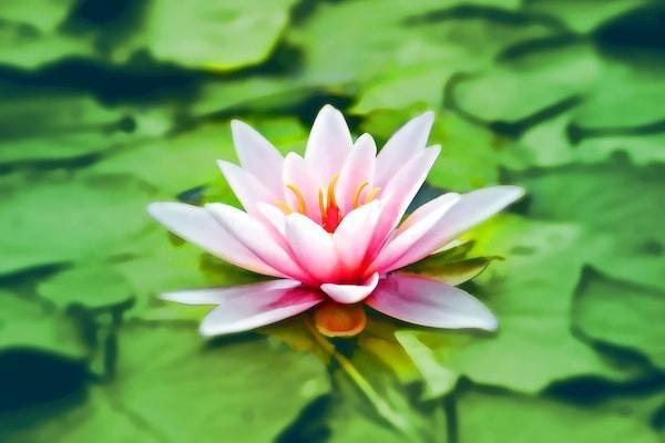 眾安百萬(wàn)醫(yī)療保險(xiǎn)基礎(chǔ)版保什么？怎么購(gòu)買(mǎi)？