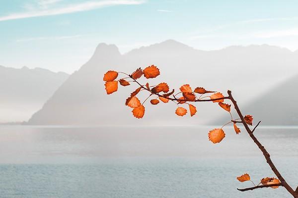 人身保險(xiǎn)有哪些險(xiǎn)種？如何選？