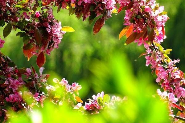 養(yǎng)老金計算方法與公式是怎樣的？養(yǎng)老金多少歲可以領錢？