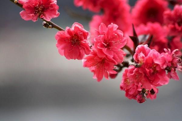 太平洋金佑人生交滿后能取嗎？太平洋金佑人生有什么優(yōu)缺點？