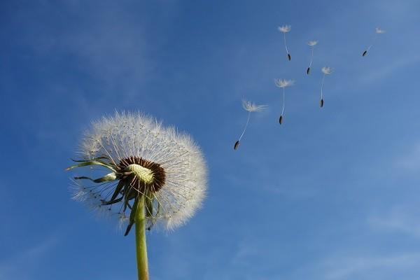 職工醫(yī)保統(tǒng)籌賬戶里的錢怎么用？是怎么來的？