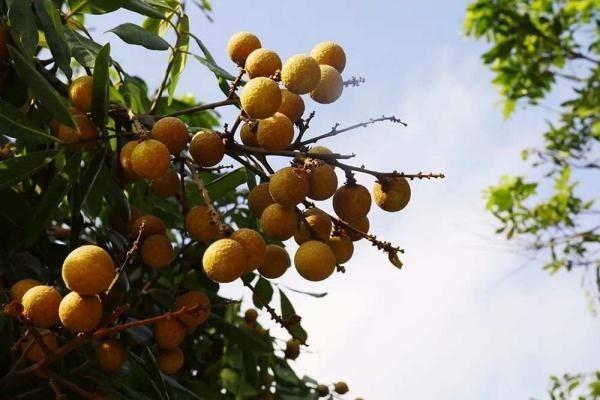 養(yǎng)老保險怎么計算方法是怎樣的？如何領(lǐng)取養(yǎng)老金？