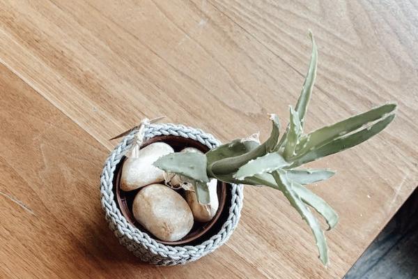 城鎮(zhèn)醫(yī)保報銷比例是多少？范圍包括哪些？
