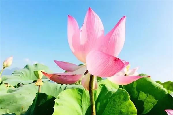 康寧終身保險交滿20年怎么辦