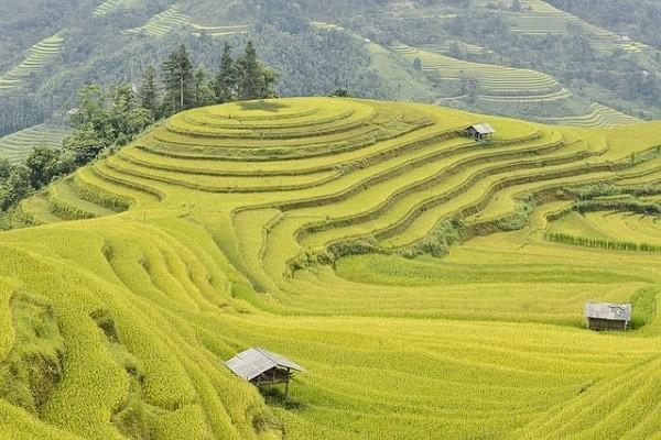 高端醫(yī)療險哪個保險公司好