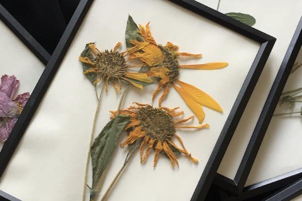 今年的醫(yī)療保險要交多少錢？報銷比例是多少？