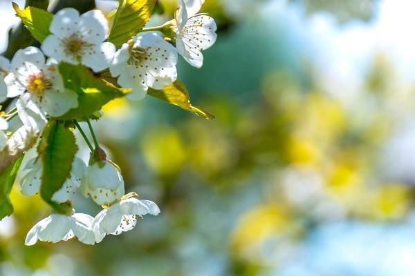 2023重疾險(xiǎn)推薦有哪些？購(gòu)買了有什么好處？