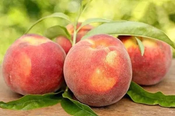 國壽和人壽區(qū)別有嗎？實(shí)力怎么樣？
