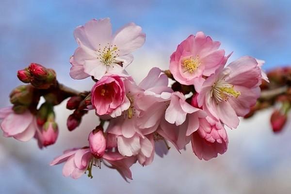 國(guó)壽財(cái)險(xiǎn)是哪家保險(xiǎn)公司？有什么優(yōu)點(diǎn)？