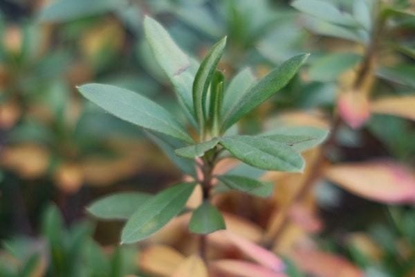 拍拍貸利息太高可以拒絕還款嗎？借款正規(guī)合法嗎？