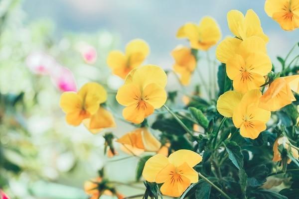 銀行買的理財(cái)保險(xiǎn)有沒(méi)有風(fēng)險(xiǎn)？有什么好處？