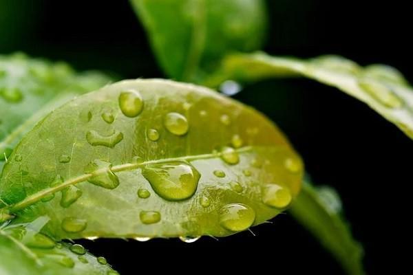 養(yǎng)老保險交多少錢？要交到多少歲？